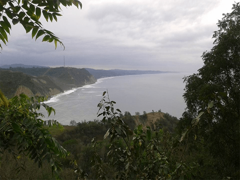 galery3-rinconada