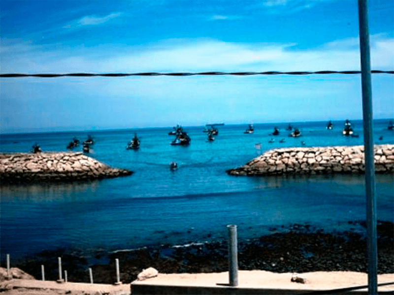 la libertad5